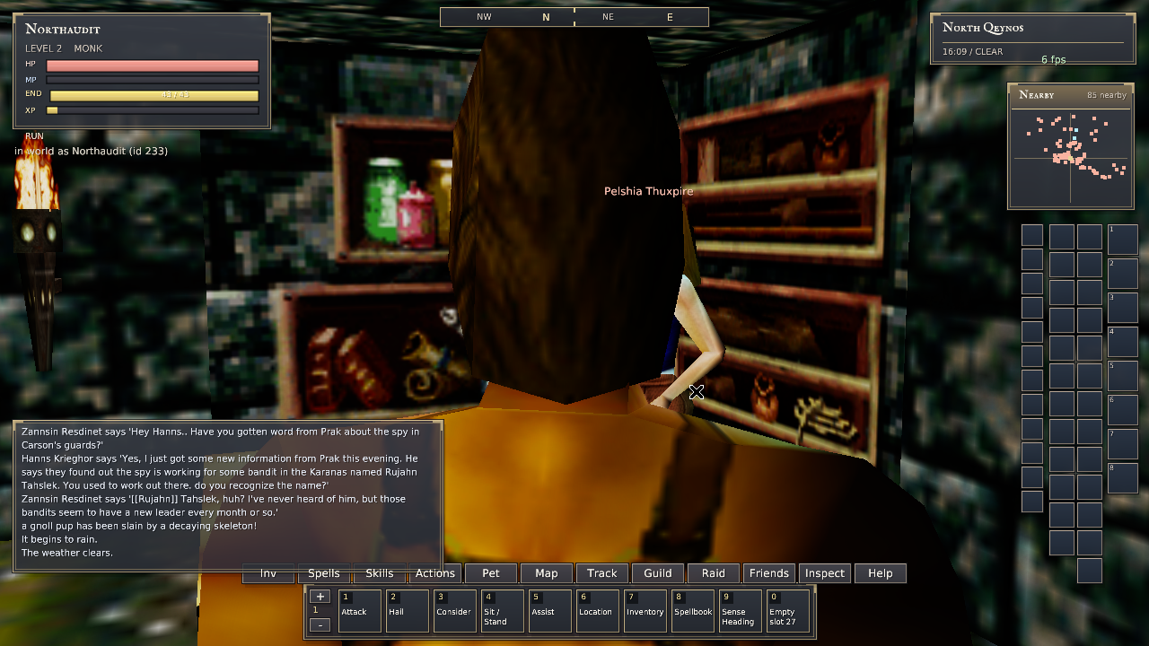 North Qeynos camera smoke check: linux-north-rendered.png