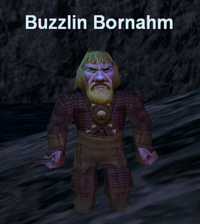 Buzzlin Bornahm