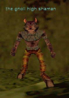 The gnoll high shaman